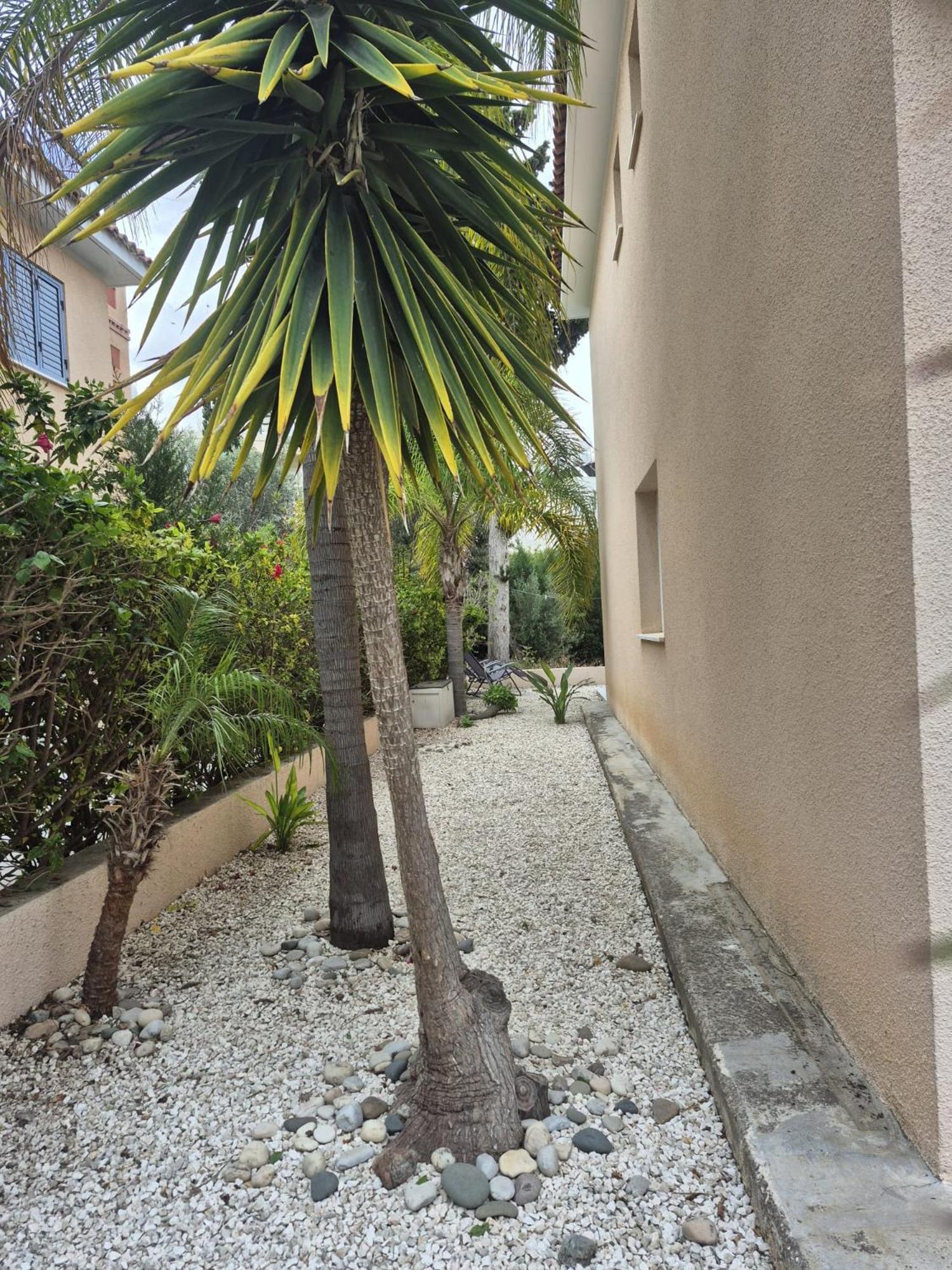 Casa Del Sol Townhouse In Iris Village بافوس المظهر الخارجي الصورة